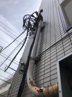 実績